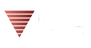 Logo principal VE